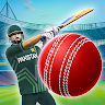 Cricket League Mod APK